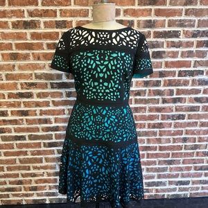 SHANI Ombre Laser-Cut Lace Dress